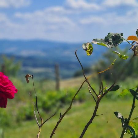 Appartamento Il Nido Volterra Dış mekan fotoğraf
