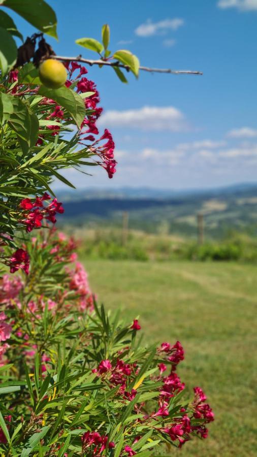 Appartamento Il Nido Volterra Dış mekan fotoğraf