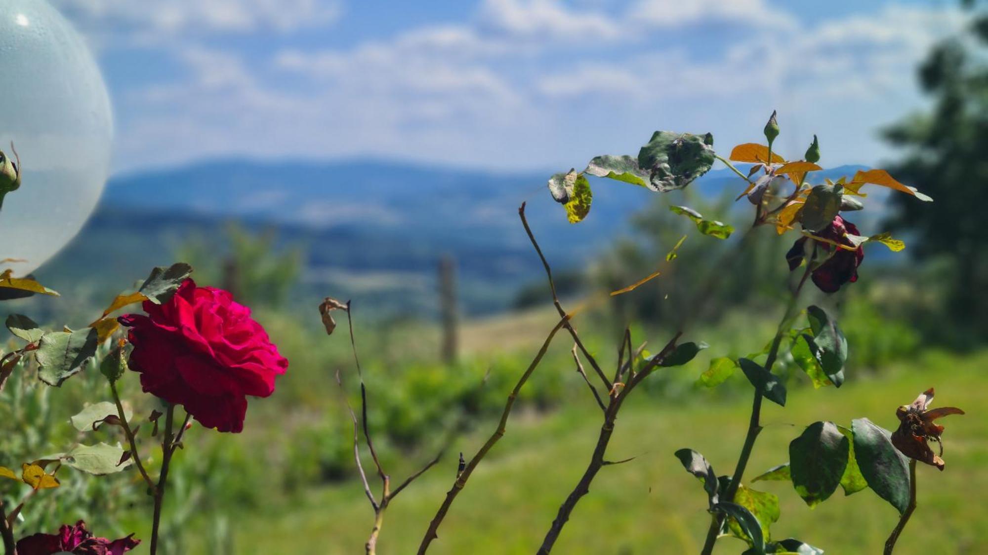 Appartamento Il Nido Volterra Dış mekan fotoğraf
